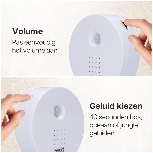 Beeld