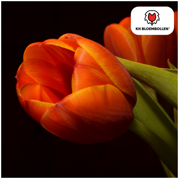 Beeld