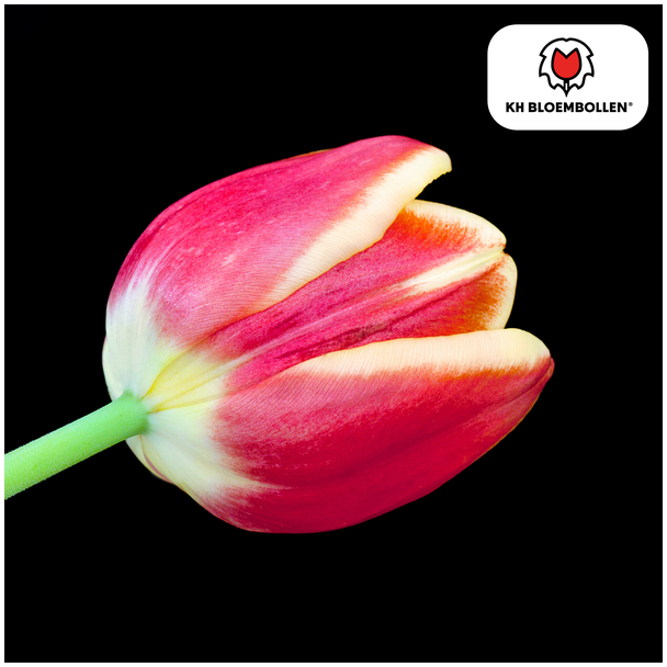 Beeld