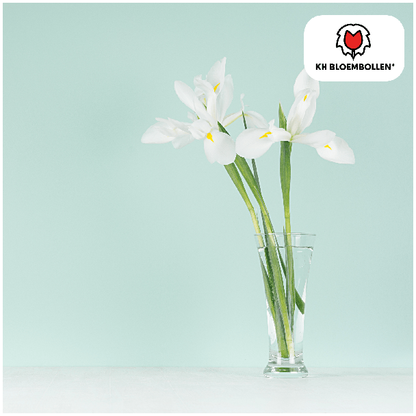 Beeld