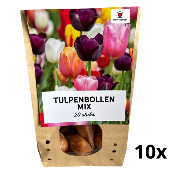 200 stuks Tulpenmix – 20 Bloembollen in 10 Zakjes – Kleurrijke Voorjaarsbloei