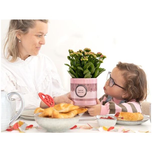 Kalanchoe Pink In P&PURE  SPECIAL POUR TOI  Verpakking - Ø12cm - ↕27cm