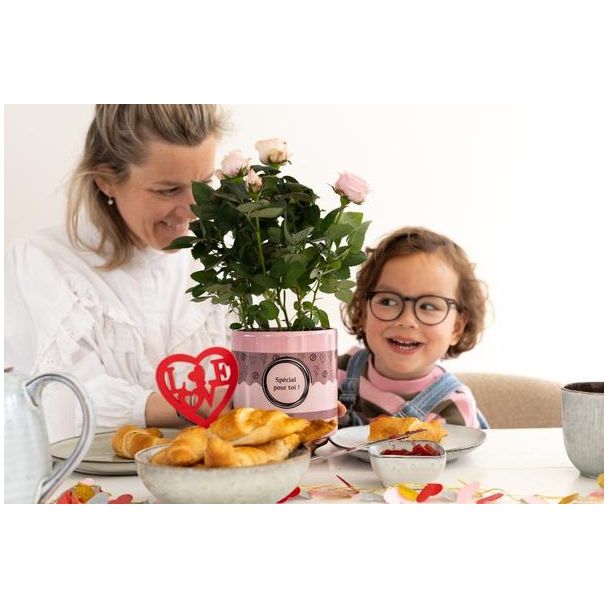 Rosa Light Pink In P&PURE  SPECIAL POUR TOI  Verpakking - Ø12cm - ↕30cm