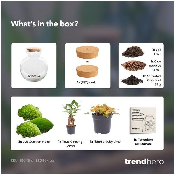 Kado Tip! DIY Planten Terrarium (met verlichting), Teddy Bonsai met led-Kurk, Ø25cm, ↑ 26.5cm,  Zelfvoorzienend Ecosysteem , Complete Set met Planten en Mossen zonder Tools, Onderhoudsarm, Eyecatcher