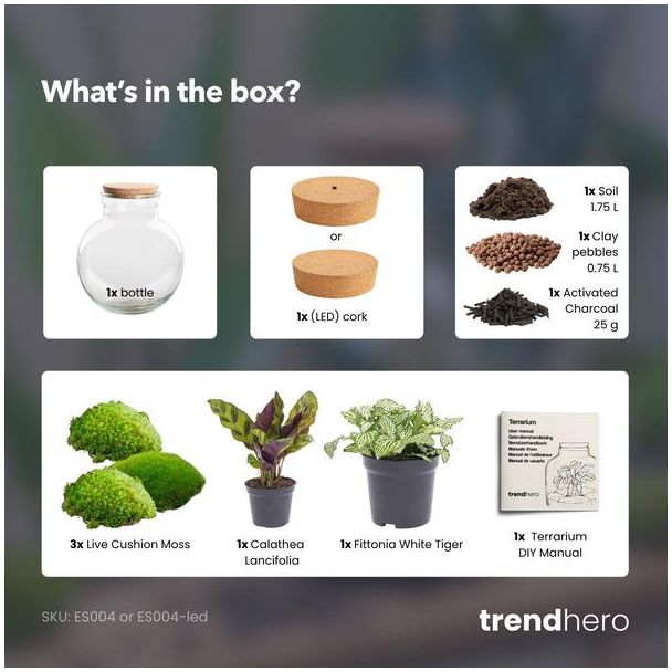 Kado Tip! DIY Planten Terrarium (met verlichting), Teddy met ledKurk, Ø25cm, ↑ 26.5cm,  Zelfvoorzienend Ecosysteem , Complete Set met Planten en Mossen zonder Tools, Onderhoudsarm, Eyecatcher