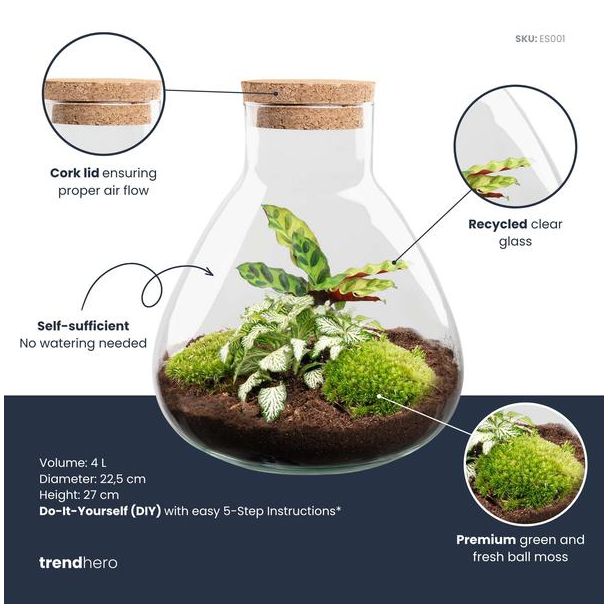 Kado Tip! DIY Planten Terrarium, Sammie Calathea met Kurk, Ø 22,5  ↕ 27 cm,  Zelfvoorzienend Ecosysteem , Complete Set met Planten en Mossen zonder  Toos, Onderhoudsarm, Eyecatcher