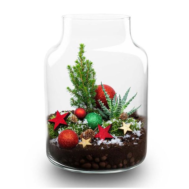 Frosty Kerstmis terrarium - Planten terrarium  DIY kit Christmas -  -  Ø 17 cm ↑ 25 cm
