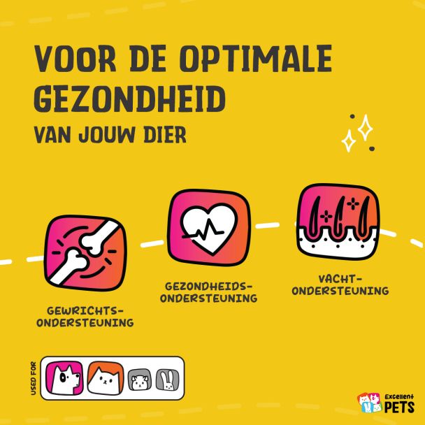 Beeld