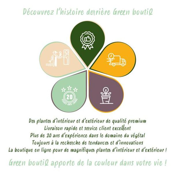 Beeld