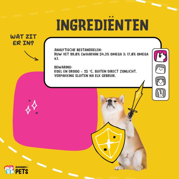 Beeld