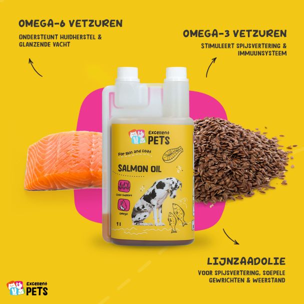 Beeld