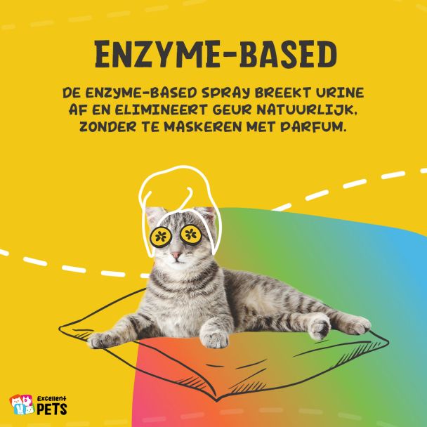Beeld
