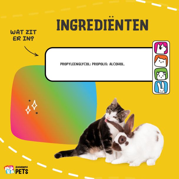 Beeld