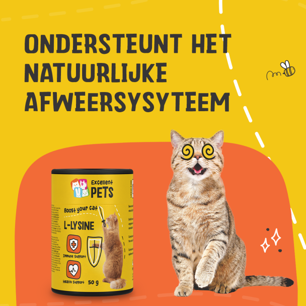 Beeld