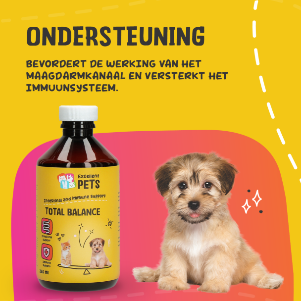 Beeld