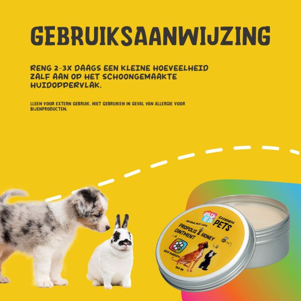 Beeld