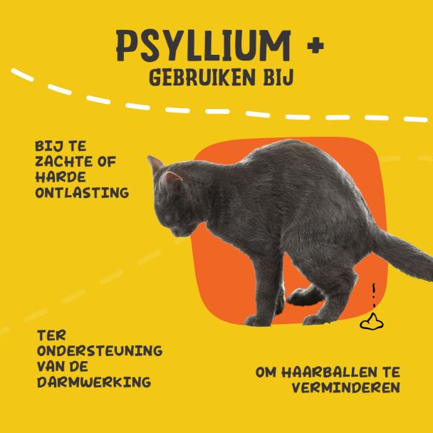 Beeld