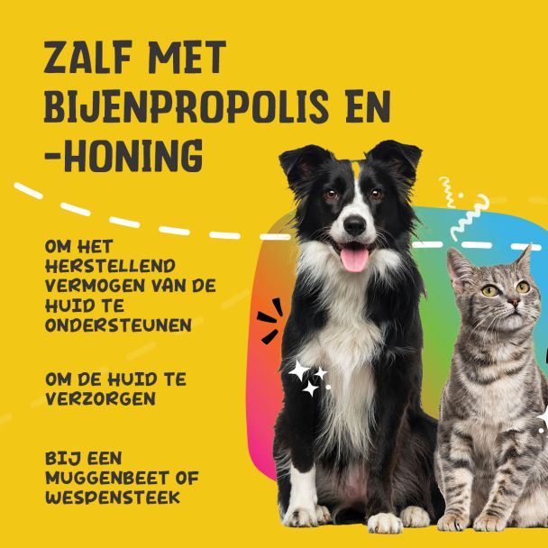 Beeld