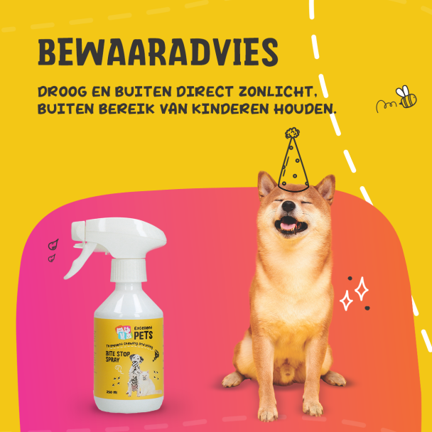 Beeld