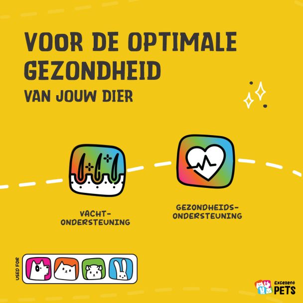 Beeld