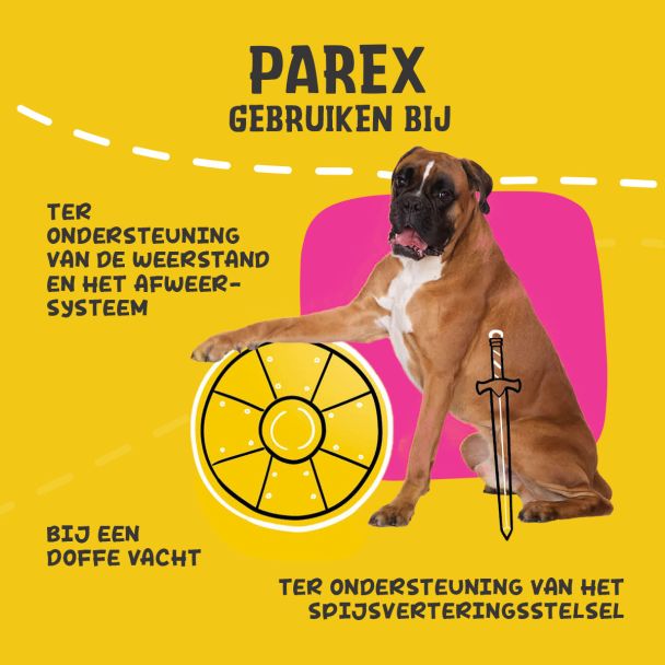 Beeld