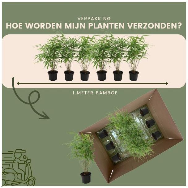 Beeld