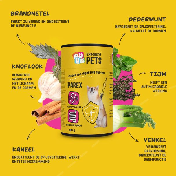 Beeld