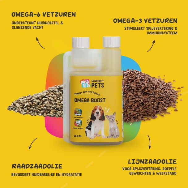 Beeld