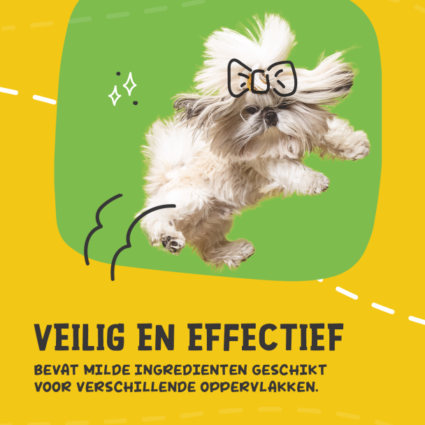 Beeld