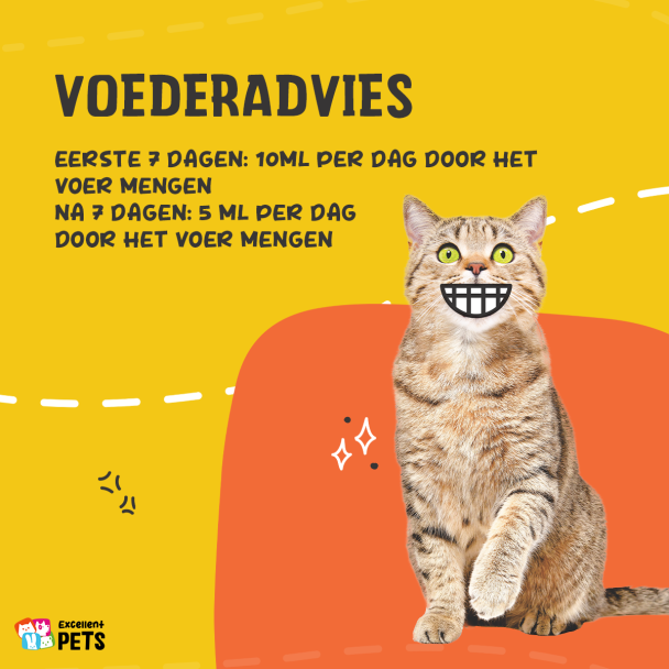 Beeld