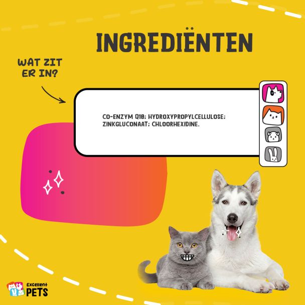 Beeld