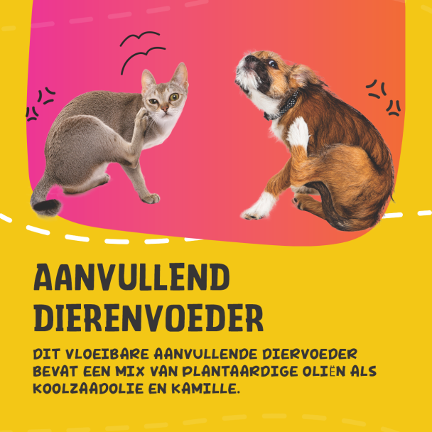 Beeld
