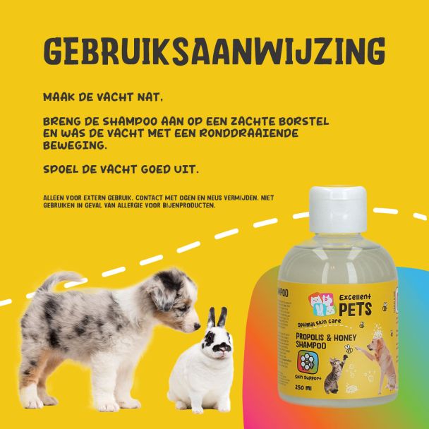Beeld