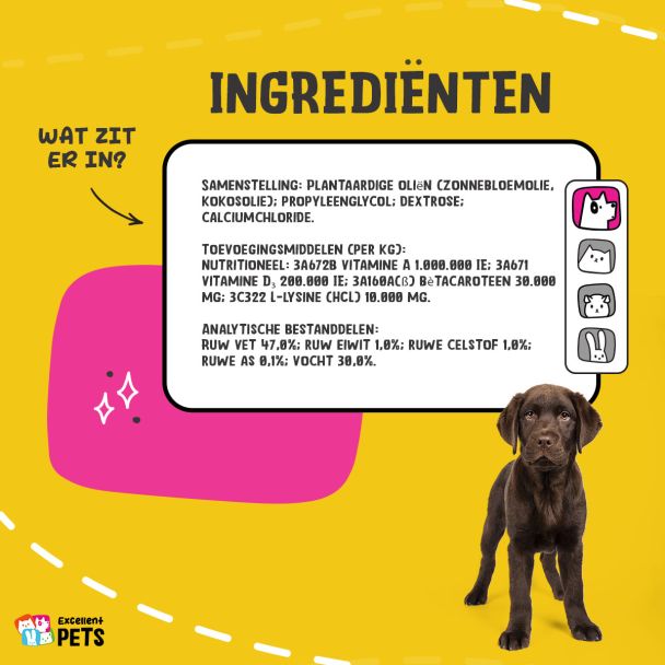 Beeld