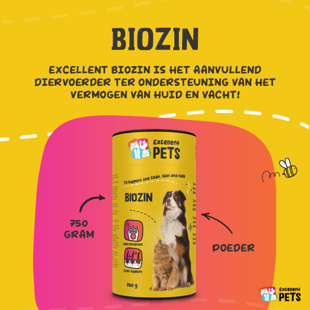 Beeld