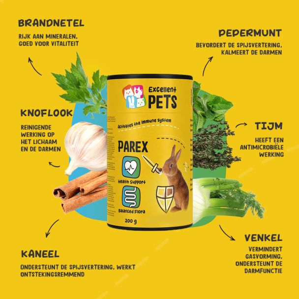 Beeld