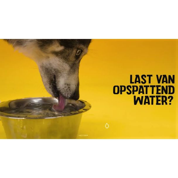 Beeld