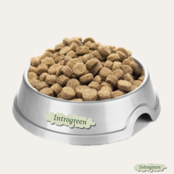 Hondenbrokken Adult Plus 10 kg – Complete & Gebalanceerde Voeding voor Volwassen Honden!