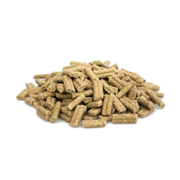 Super Premium Excellent Lam & Rijst – 20 Kg Geperste Voeding voor Volwassen Honden van Alle Rassen