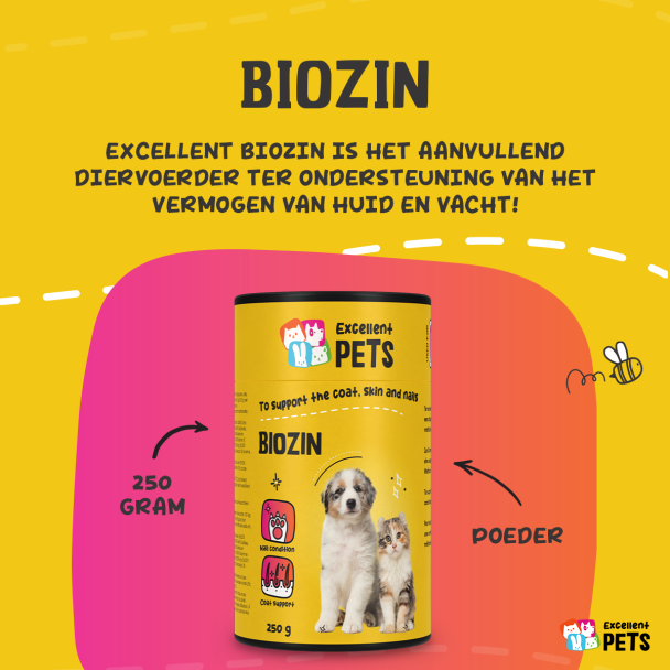 Beeld