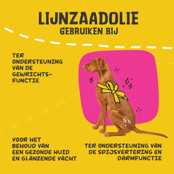 Beeld