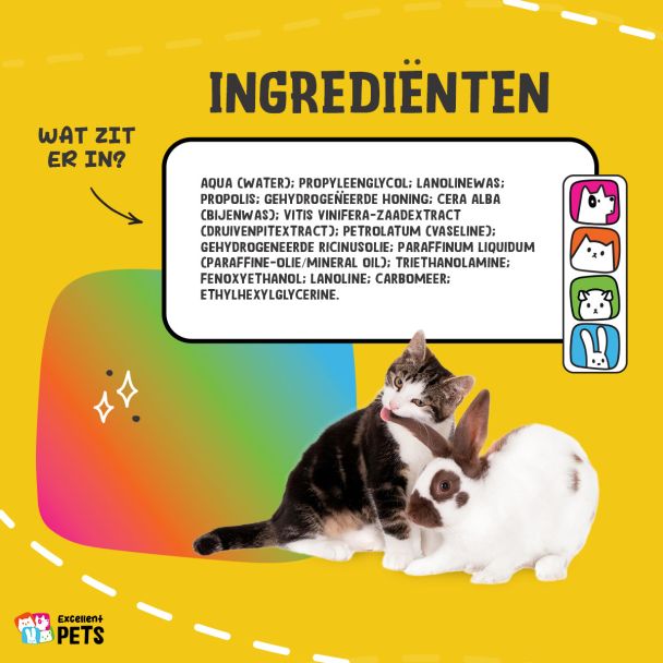 Beeld