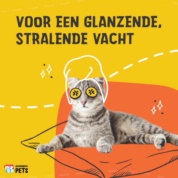 Beeld