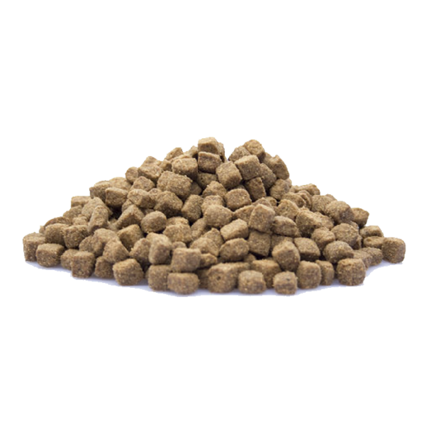 Adult Active – Energievolle Voeding voor Actieve Honden - 10 Kg Hondenbrokken