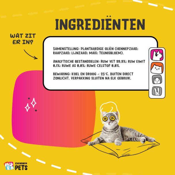 Beeld