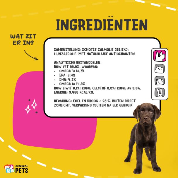 Beeld