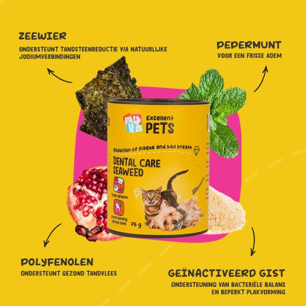 Beeld