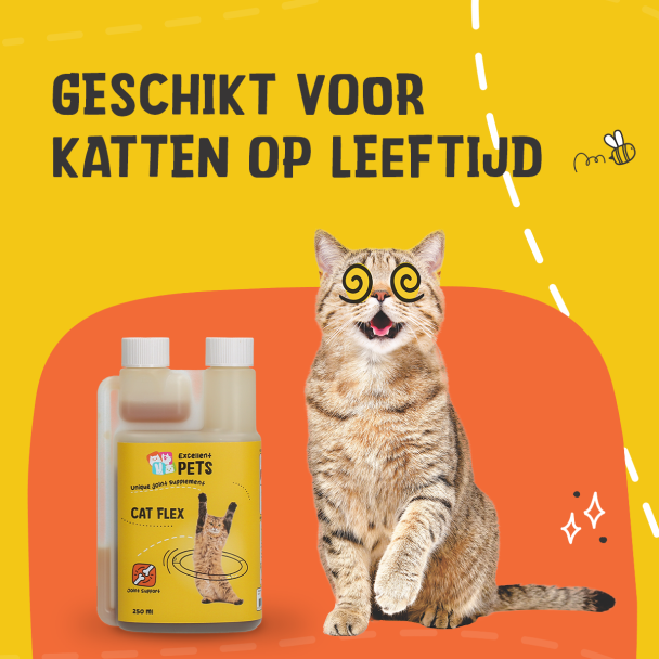 Beeld