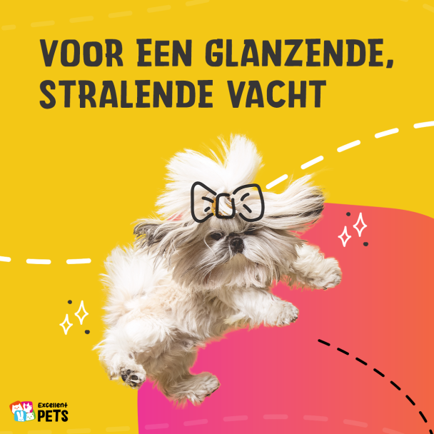 Beeld