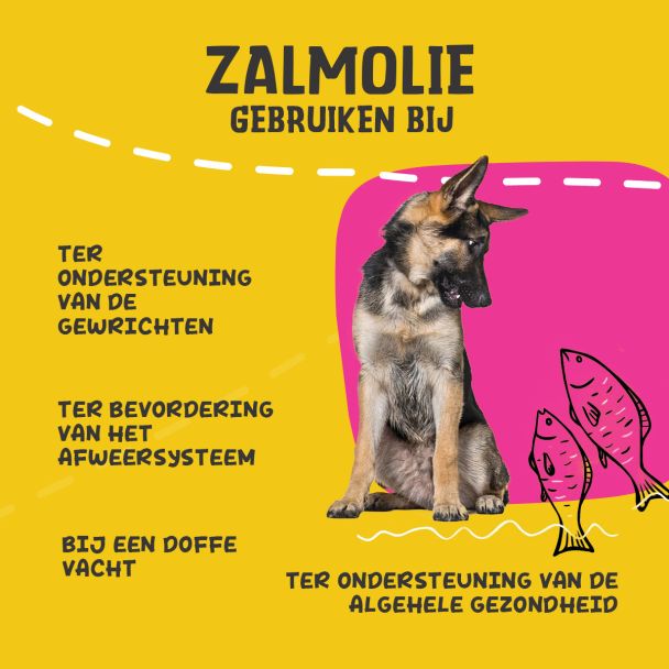 Beeld